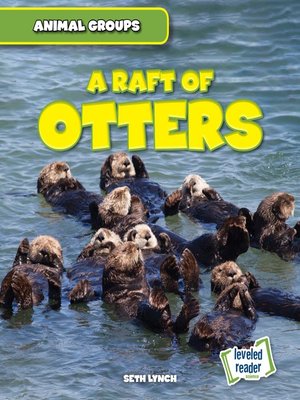cover image of Raft of Otters